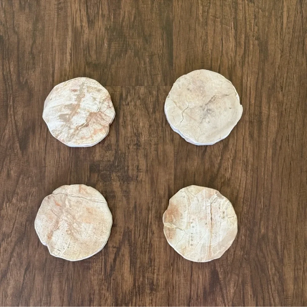 West Elm Petrified coasters set of 4